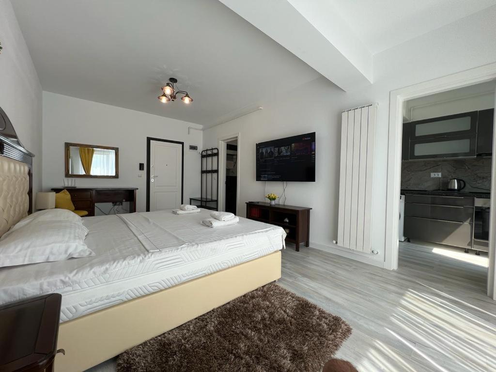 Urban Apartments And Studios - City Center Iasi Buitenkant foto