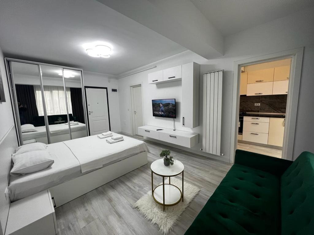 Urban Apartments And Studios - City Center Iasi Buitenkant foto