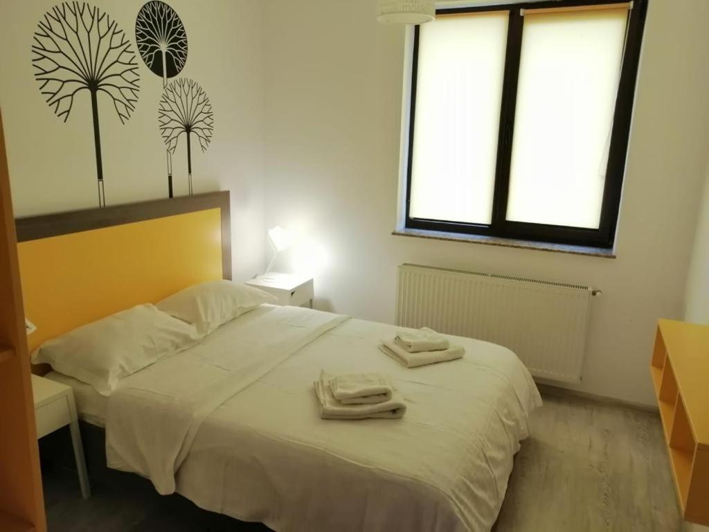 Urban Apartments And Studios - City Center Iasi Kamer foto